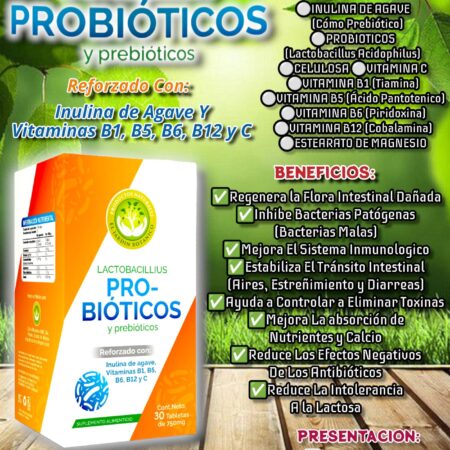 Lactobacillius Probióticos